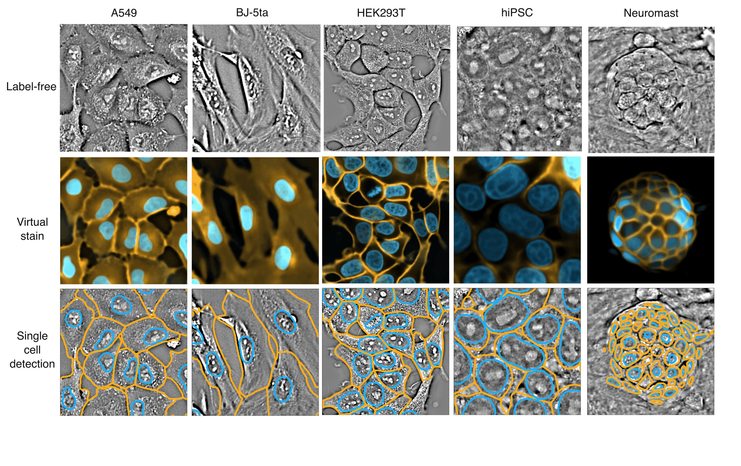 US Government, Meta and Google Join Biohub's AI Biology Push — Total Investment Reaches $1.8B